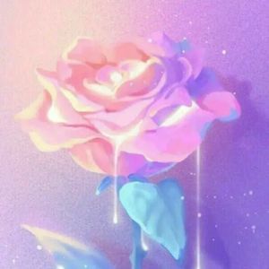 Meet your Posher, Belana